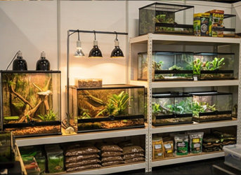 Accessori ReptilEXPO