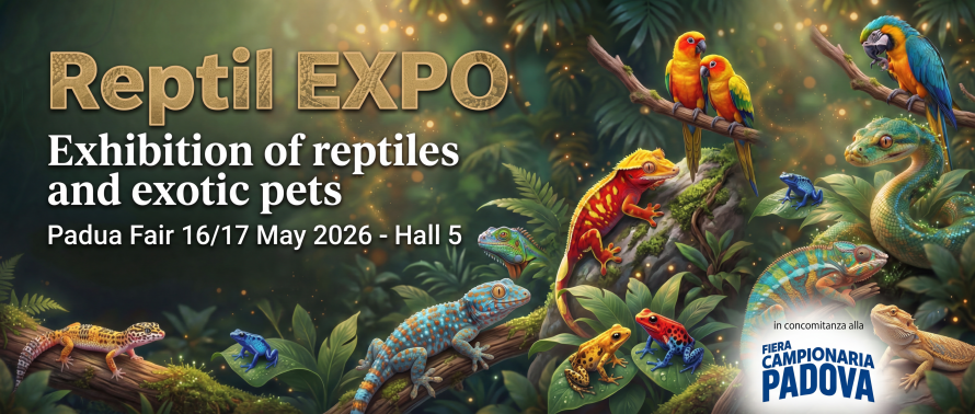 ReptilEXPO